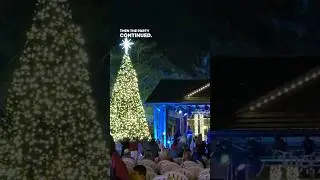 The Villages Was Lit! 🌟Tree Lighting Festival 2023