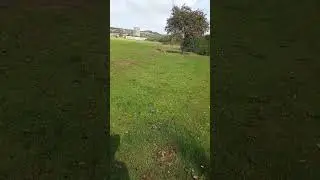 Learning to roll it back