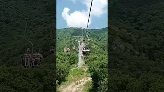 Макс Корж - Горы по колено⛰️🌊#shortsvideo #горы #корж #максим