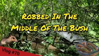 T&T Nature Vlog #70: Robbed In The Middle Of The Bush #trinidadandtobago  #wildlife
