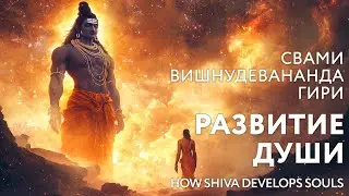 Сатсанг "Развитие души", Свами Вишнудевананда Гири