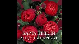 ТАРО ПРОГНОЗ НА НЕДЕЛЮ с 27.03 - 02.04.2023 г. |  ГОРОСКОП НА НЕДЕЛЮ | ТАРО ПРОГНОЗ