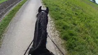 first solo ride after a 6 month break