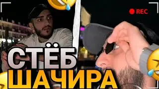 СТАЯ СТЕБЁТ ШАЧИРА 😂