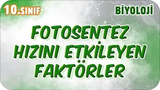 Fotosentez Hızını Etkileyen Faktörler | 10. Sınıf Biyoloji 