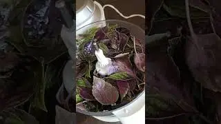 Как заготовить базилик на зиму, делаем супер приправу - базиликовую соль.  #огород #базилик