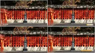 Stabilisation Comparison Sony Vegas Pro 14 vs Mercalli V4 vs ProDrenalin V2 Plus