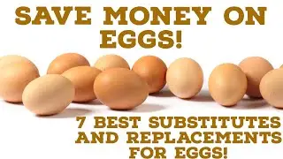 7 BEST SUBSTITUTES FOR EGGS!!