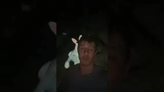 Bunnyman Attacked Me…