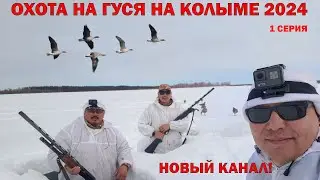 НОВЫЙ КАНАЛ! ОХОТА НА ГУСЯ НА КОЛЫМЕ 2024. 1СЕРИЯ.