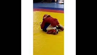 боевое самбо