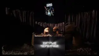Правильное питание 