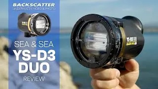 Sea & Sea YS-D3 Duo Underwater Strobe Review #underwaterphotography #ysd3 #strobes