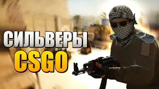 Я Сильвер? CS:GO