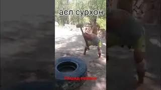 Рашид полвон тренировка жараени