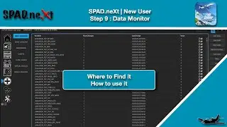 (MSFS) New User #9 | SPAD.neXt | Data Monitor Use