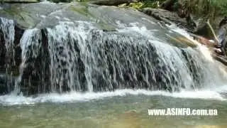 Лумшоры отдых в Карпатах летом
