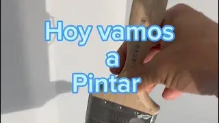 Vamos a pintar las paredes de este medio baño