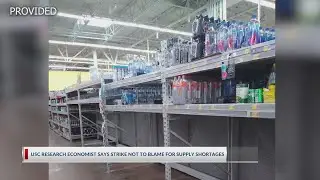 Day 2 of port strike not to blame for empty shelves according to economy expert