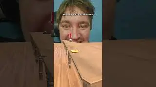 Can you land the toast on the teacu 