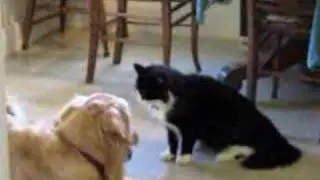 Gabriel & Stanley--Original Version