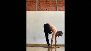 Древесная виньяса.