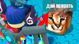Выращиваю Шлёпу в плейсе Raise a Floppa