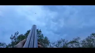 Охота на вальдшнепа. Тяга. Закрываю сезон!