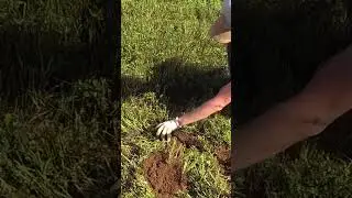 Топ находка комрада !)))