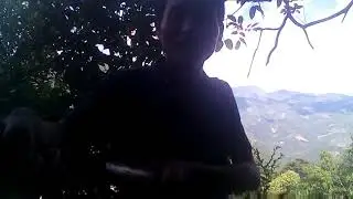 Ua hau lwm nrog nom