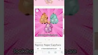 fidget toy wishlist #fidget #fidgettoys #fidgets #wishlist