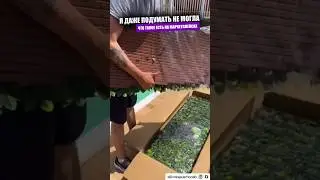 Панели для озеленения своего дома
