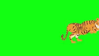 tiger Run move cartoon Green Screen Video Footage Free 