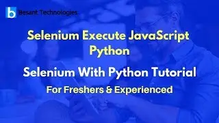 Selenium Execute JavaScript Python | Selenium With Python Tutorial For Beginners