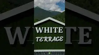 White Terrace - Toy, Nişan, Ad Günü və başqa xoş günlərinizin yüksək səviyyədə keçirilməsi.