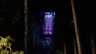 Just A Half Hour of Bug Zapping