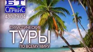 БТ-СЕРВИС (Москва)