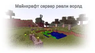 Майнкрафт, но я играю на сервере реаи ворлд