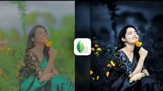New Snapseed Dark Blue Effect Photo Editing Trick | Snapseed Background Colour Change...