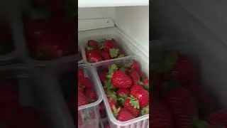 Будни клубничника