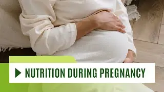 Pregnancy Nutrition - What To Eat During Pregnancy