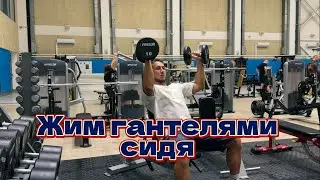 Плечи. Жим гантелями сидя  Армейский жим с гантелями