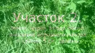 Зачем ведическое земледелие