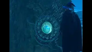 How to 'find the moonstone'  (The Centaur and the Stone Quest Guide) - Hogwarts Legacy !!