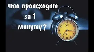 Что происходит за 1 минуту?