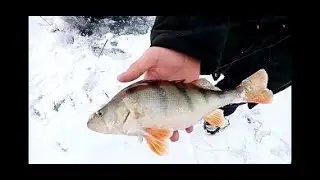 Второй лёд! ловля на гвоздешарик, ловля окуня