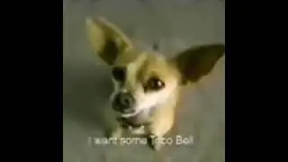 Yo Quiero Taco Bell