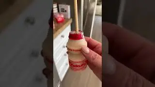 Yakult Drink Popsicle 