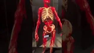 Una mostra con veri corpi umani? La trovi a Milano Centrale! #mostre #plastinarium #turismo #musei