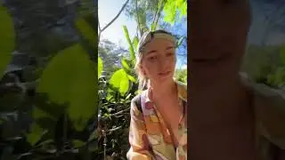 Муравьи в джунглях 🐜 